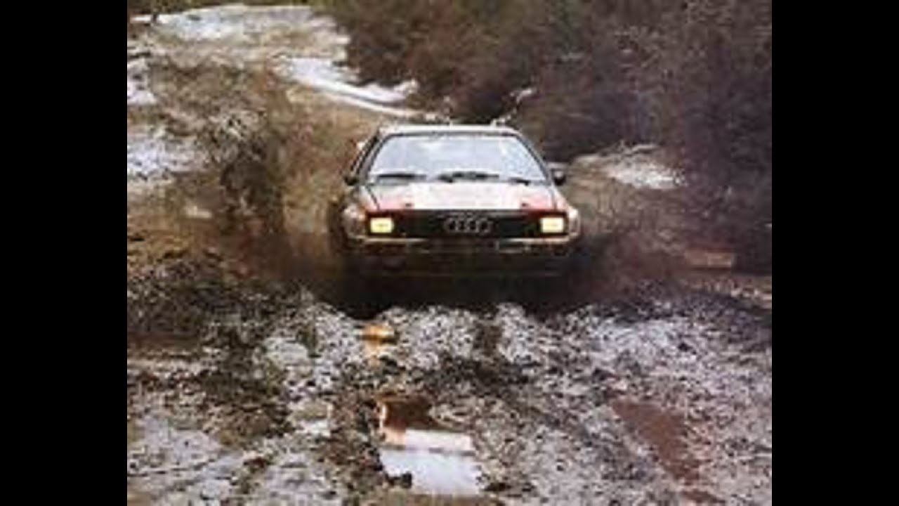 1983 World Rally Championship: Argentina