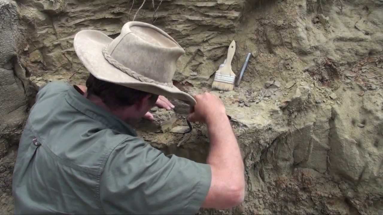 Fossil hunting with PaleoAdventures - in the quarry at last!