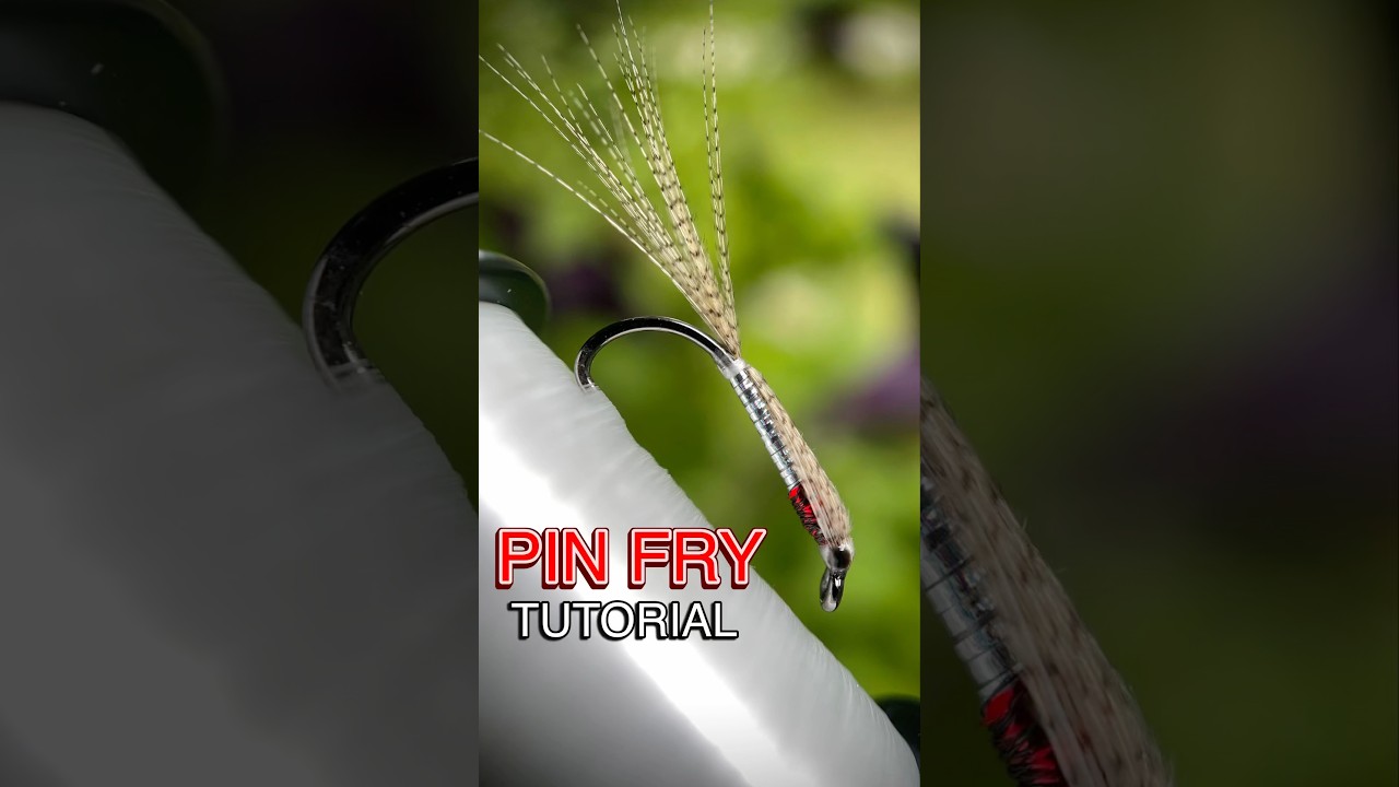 Pin Fry #flytyingtutorial #4kvideo