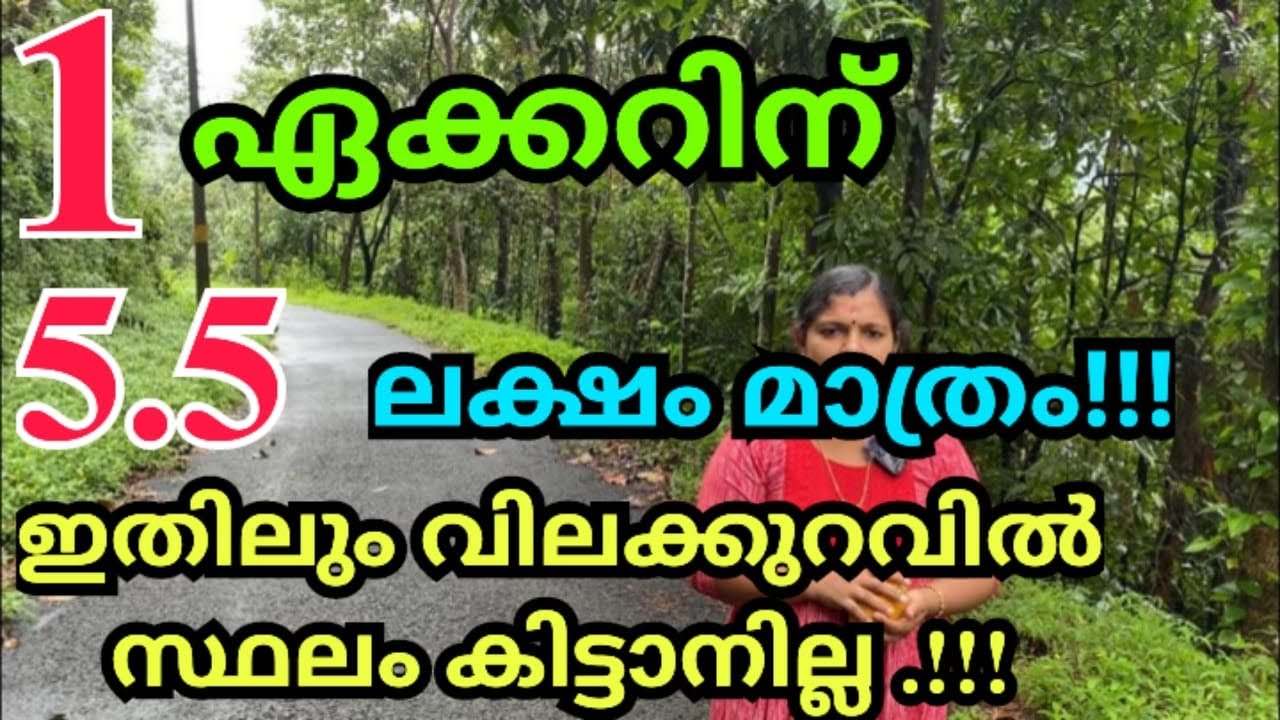 വെറും അഞ്ചര ലക്ഷത്തിന് ഒരു ഏക്കർ സ്ഥലം ഫുൾ ആദായം ഉള്ള കൃഷി ഭൂമി ആവശ്യക്കാർ ഉടൻ ബന്ധപ്പെടുക9895181886