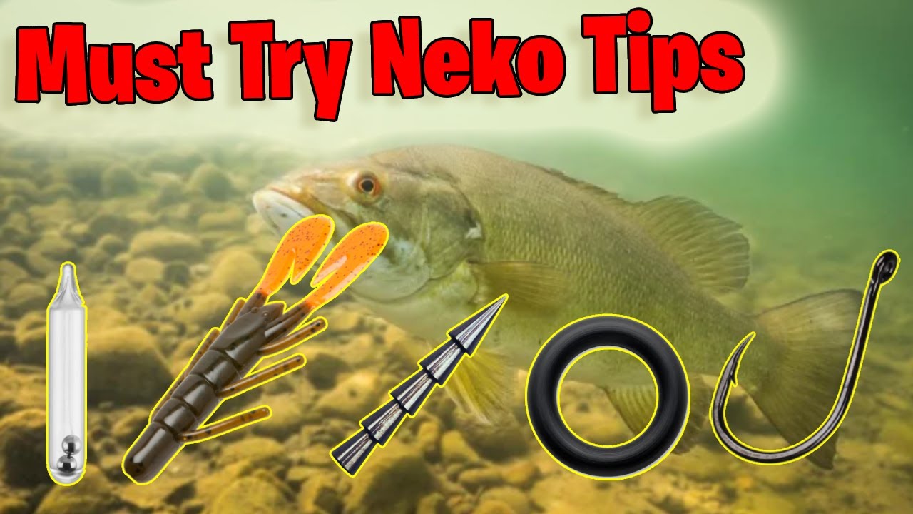 Catch More Bass With This Neko Rig Tip