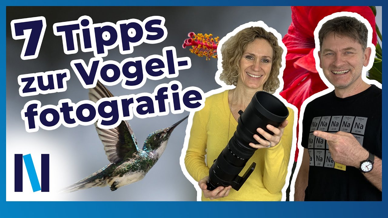 Vogelfotografie: 7 Profitipps um Vögel perfekt zu fotografieren