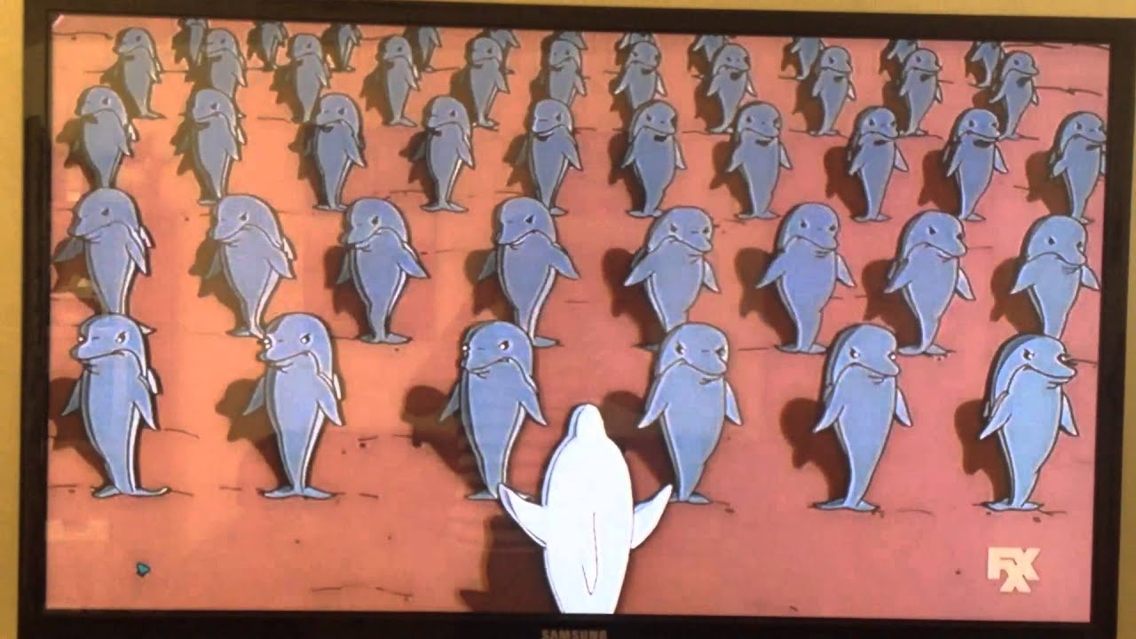 ToHXI Snorky