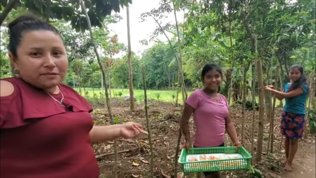María ya está aprendiendo a trabajar (p.2)