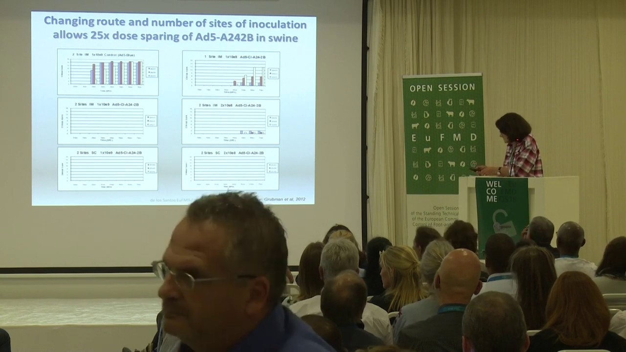 T. de los Santos - The GMO option (A current perspective on Adenovirus 5-Vectored FMD vaccines)