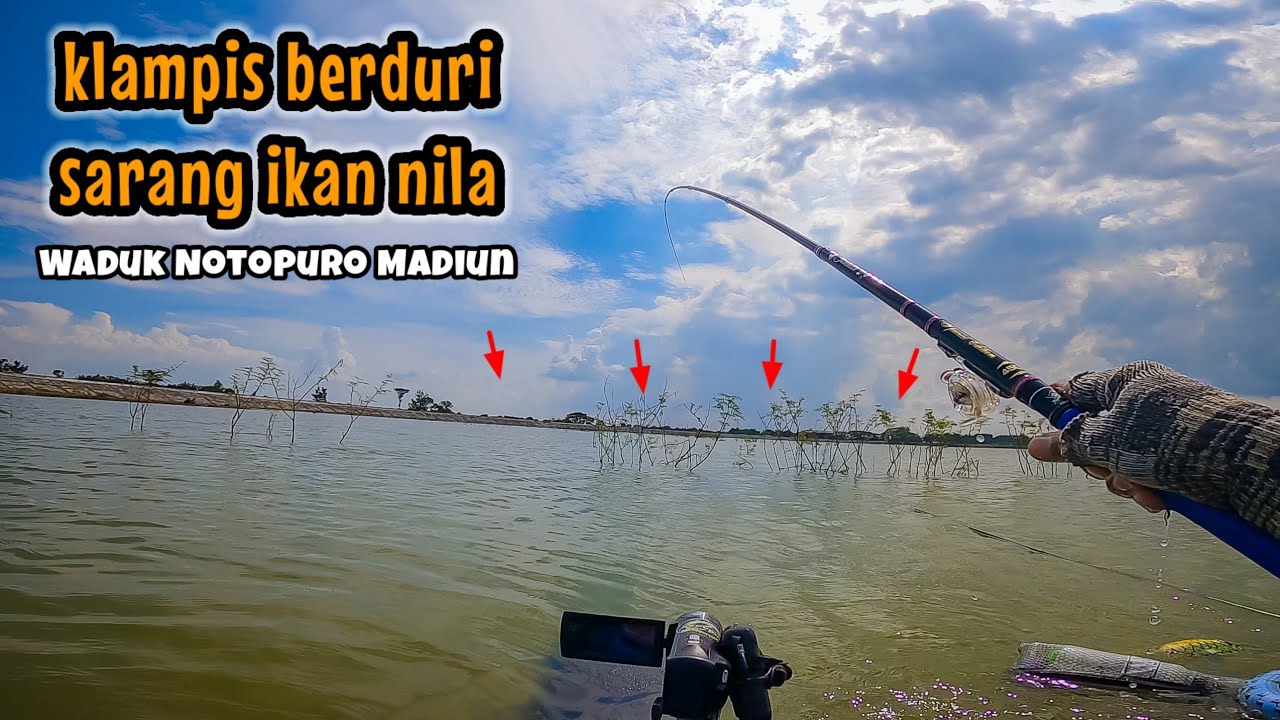 NGETRIP LAGI‼️KATANYA DISINI BANYAK BANGET IKAN NILANYA || mancing ikan nila di waduk Notopuro