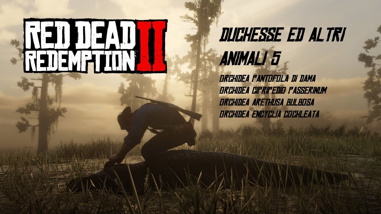 Duchesse ed altri animali 5 - Red dead redemption 2 Orchidea passerinum