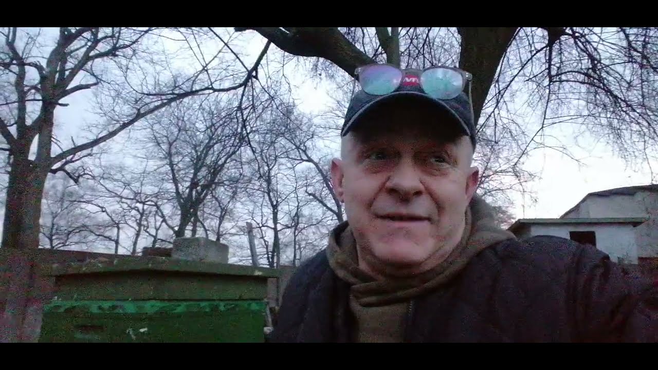 Brak pokarmu w ulu. Co robić aby nakarmić pszczoły? 