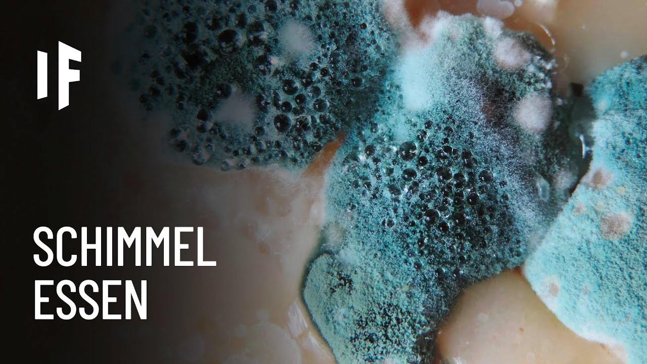 Was wäre, wenn man Schimmel essen würde?