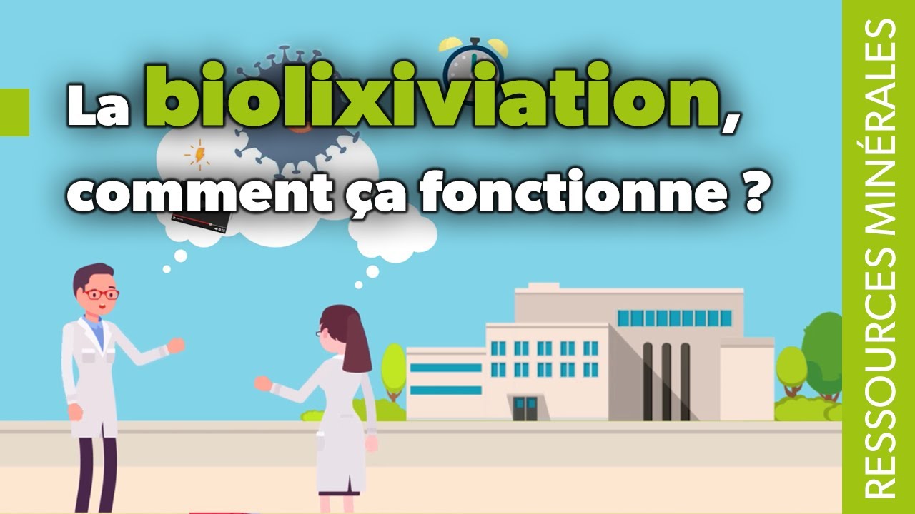 How does bioleaching work?