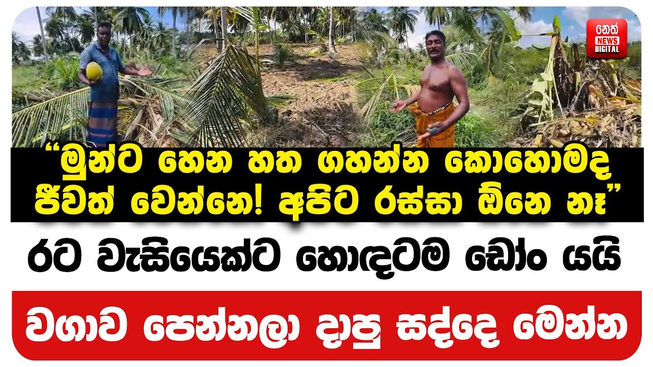 රට වැසියෙක්ට හොඳටම ඩෝං යයි - වගාව පෙන්නලා දාපු සද්දෙ මෙන්න