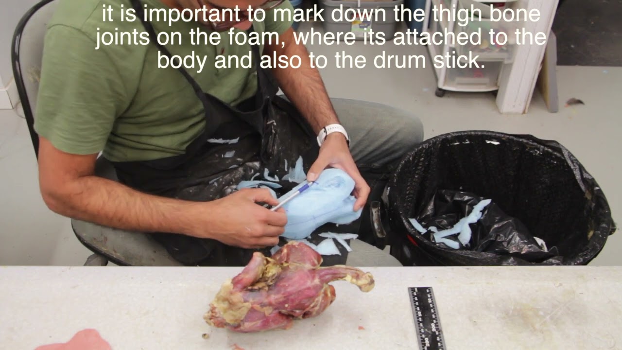 How to carve a Foam body, that will fit every time. ...Art of Taxidermy.