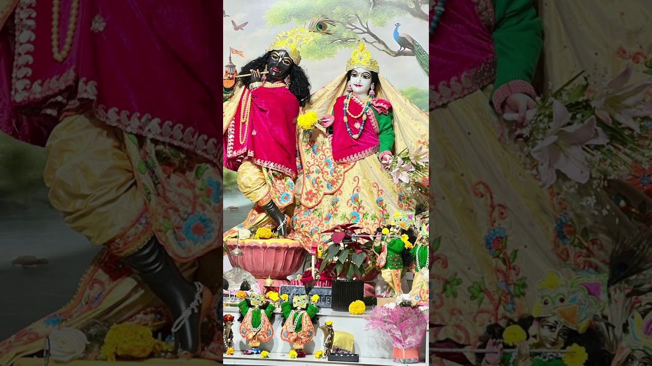 mero Kanha gulab ka phool song🙏