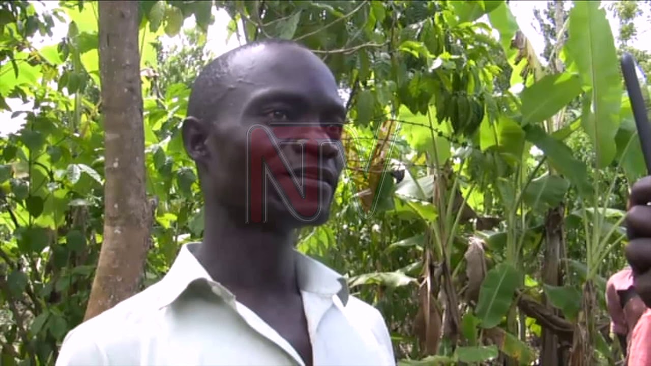 EBIZIBU SI BYAKUGGWA: Ebisaanyi birumbye Kayunga