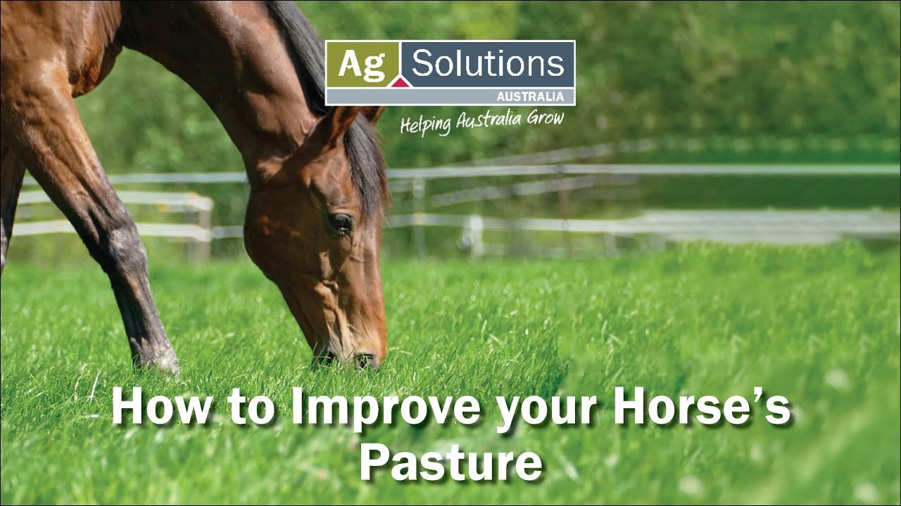 How to Improve your Horse's Pasture