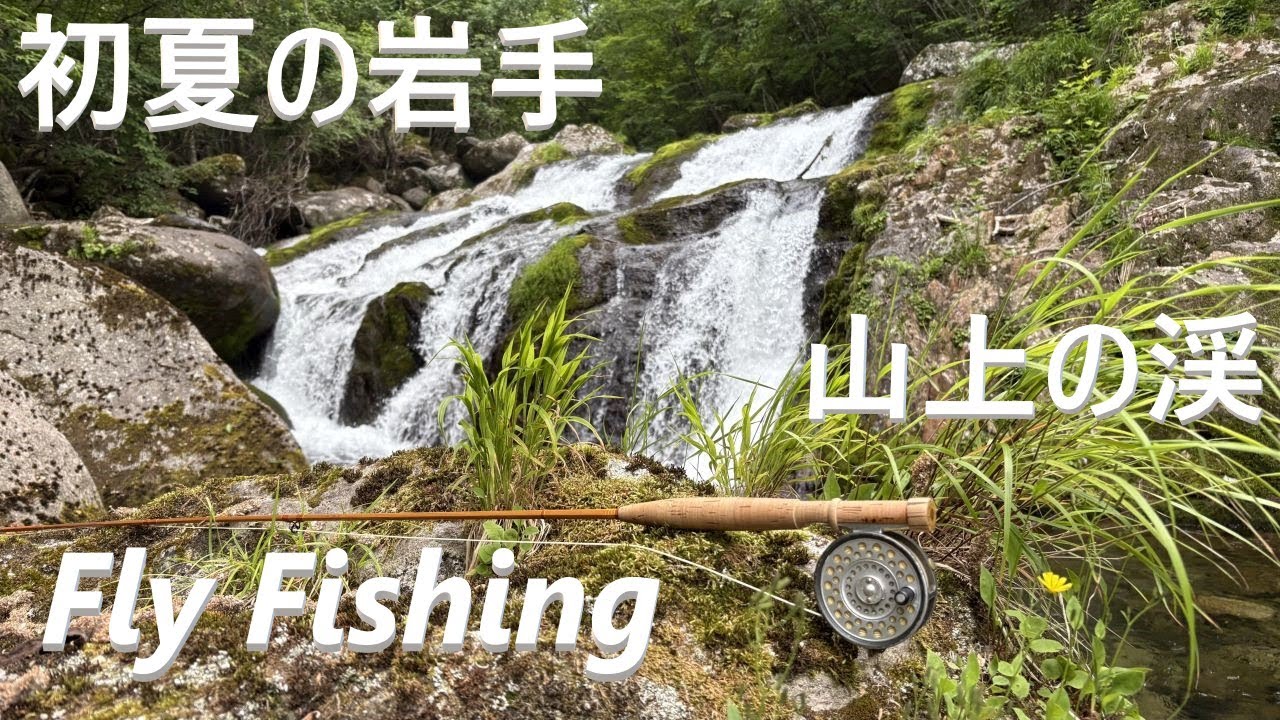 2025年６月中旬　初夏の山上の渓　フライフィッシング　尺上イワナ