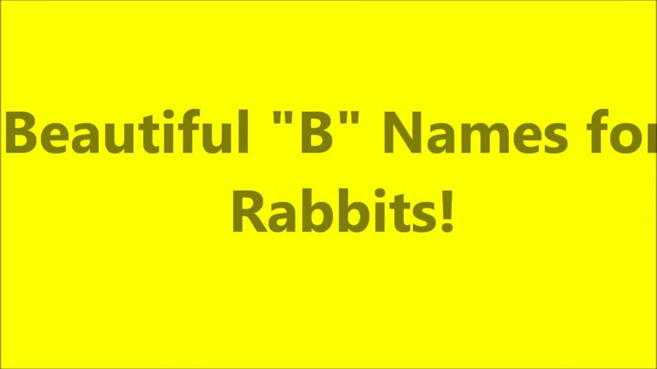 Rabbit Names: Beautiful 