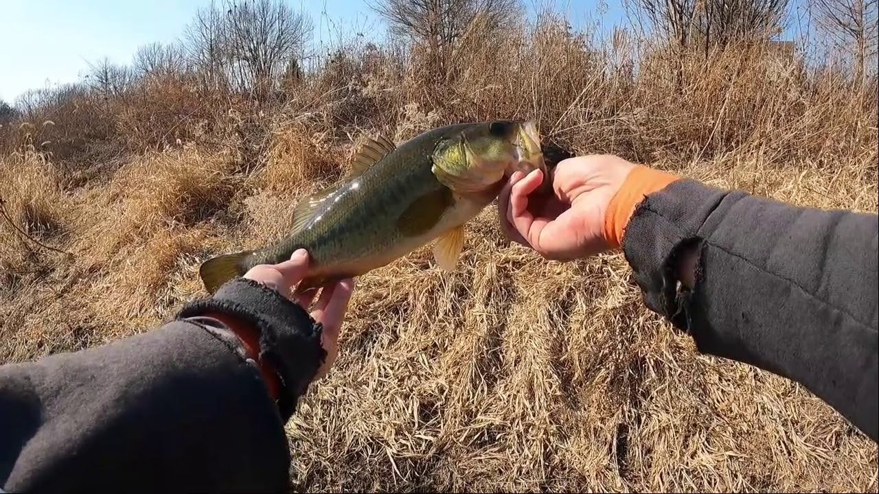 First open water bass of the year!