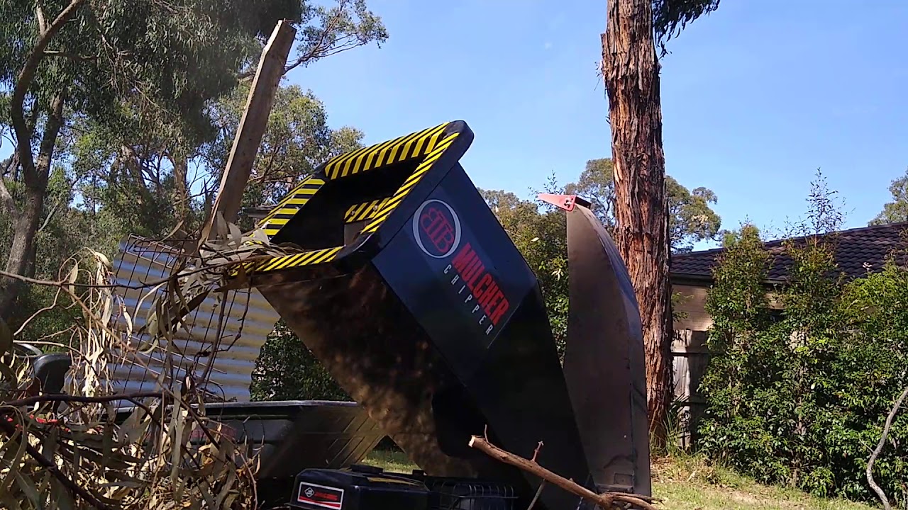 BBT 9000 15hp 420cc CHIPPER mulcher, This is a serious machine! I'm impressed 🤔