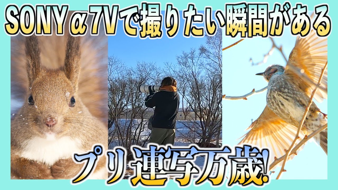 【SONYα7V】プリ撮影で撮りたい瞬間を撮る練習！走る・ジャンプ・飛翔