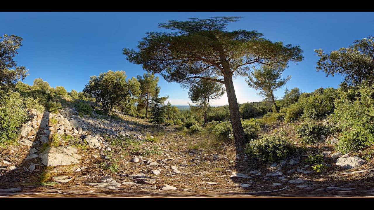 360° STOCK VIDEO 4K | Valleyview From Stony Provencal Forest Landscape | Atmosphaeres