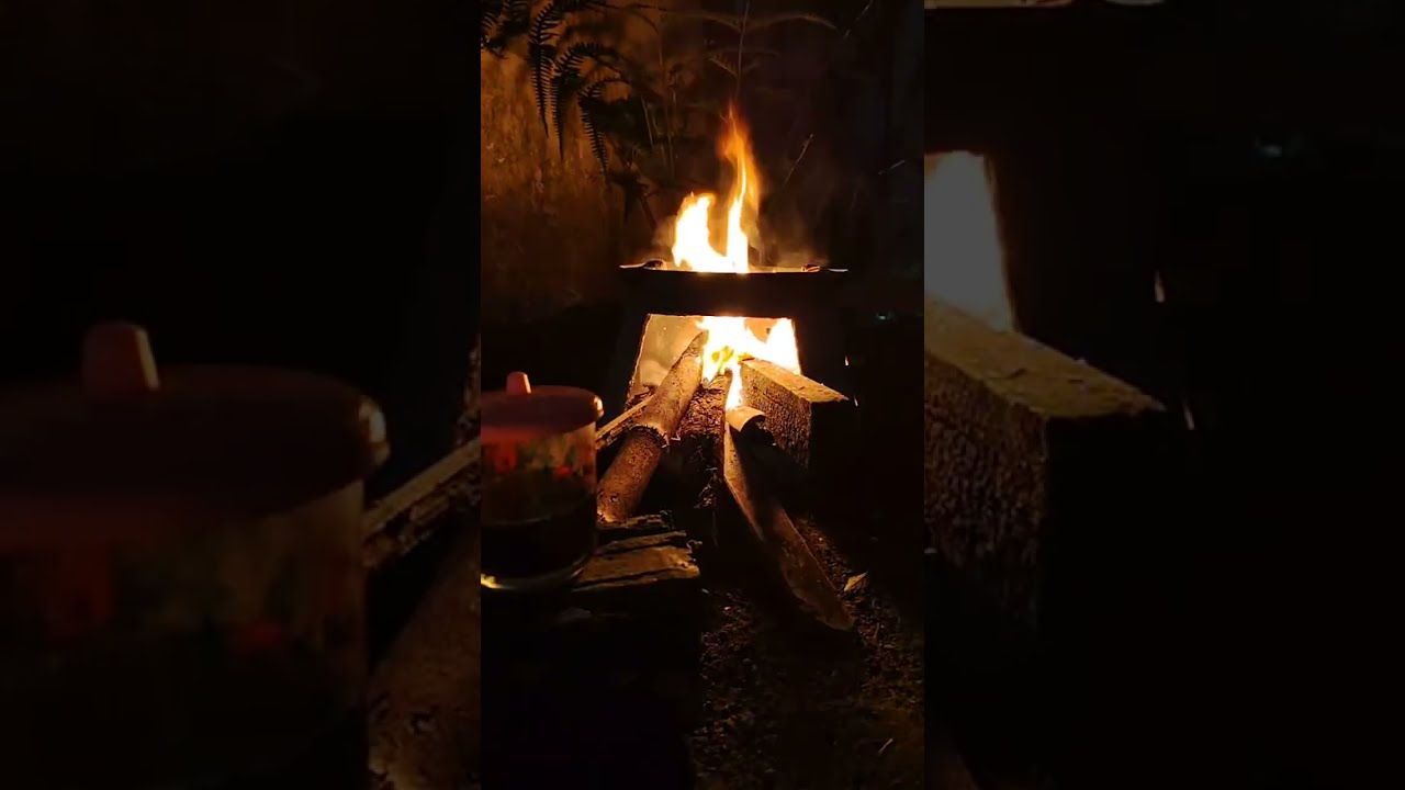 🔴 LIVE 🔥 Real Campfire Sounds in the Night – Relaxing Fireplace Ambience for Deep Sleep #fireplace