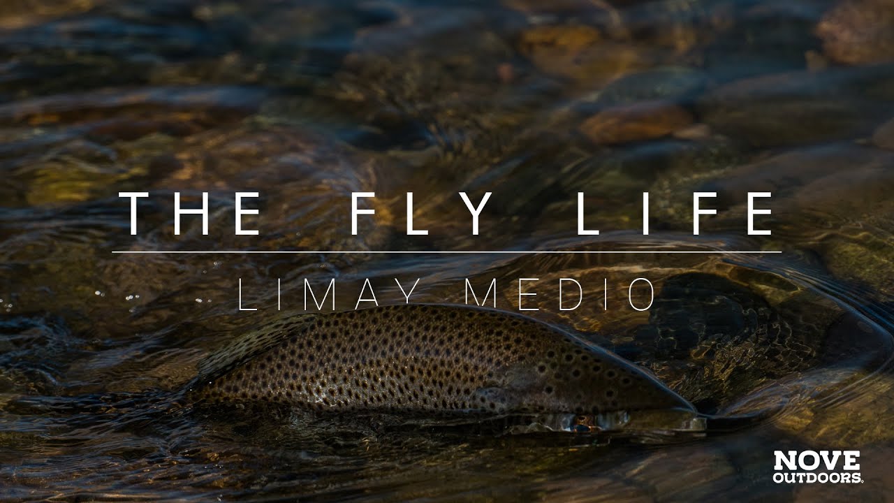 The Fly Life - #03 - Limay Medio y Picún Leufú - Trucha Marrón