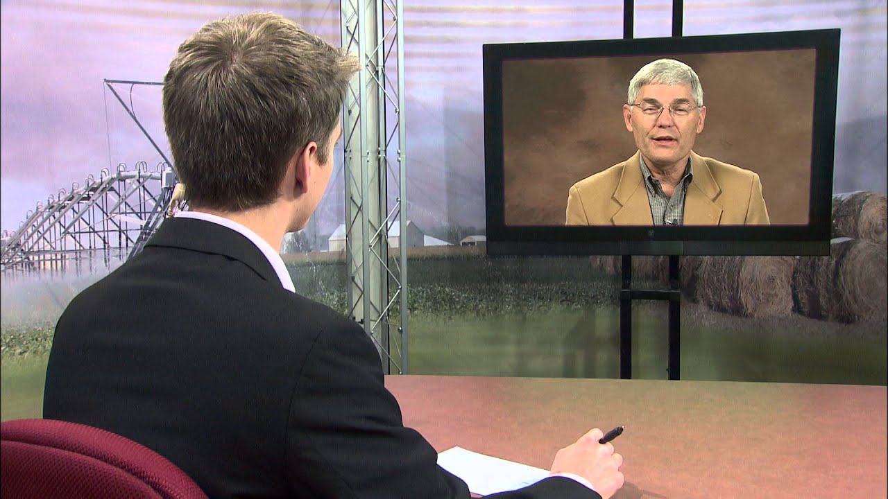 Hog Market Analysis - Ron Plain - November 28, 2014