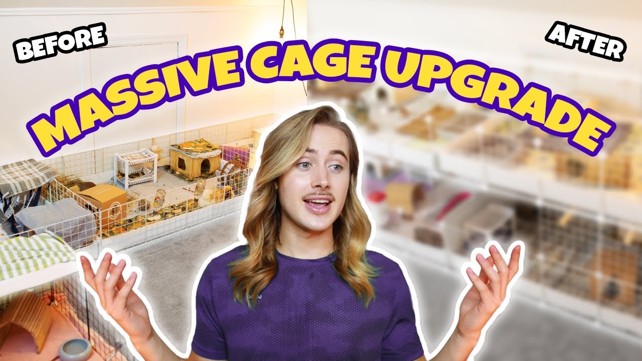 MASSIVE GUINEA PIG CAGE UPGRADE! 🐽 | 3x12 C&C CAGE