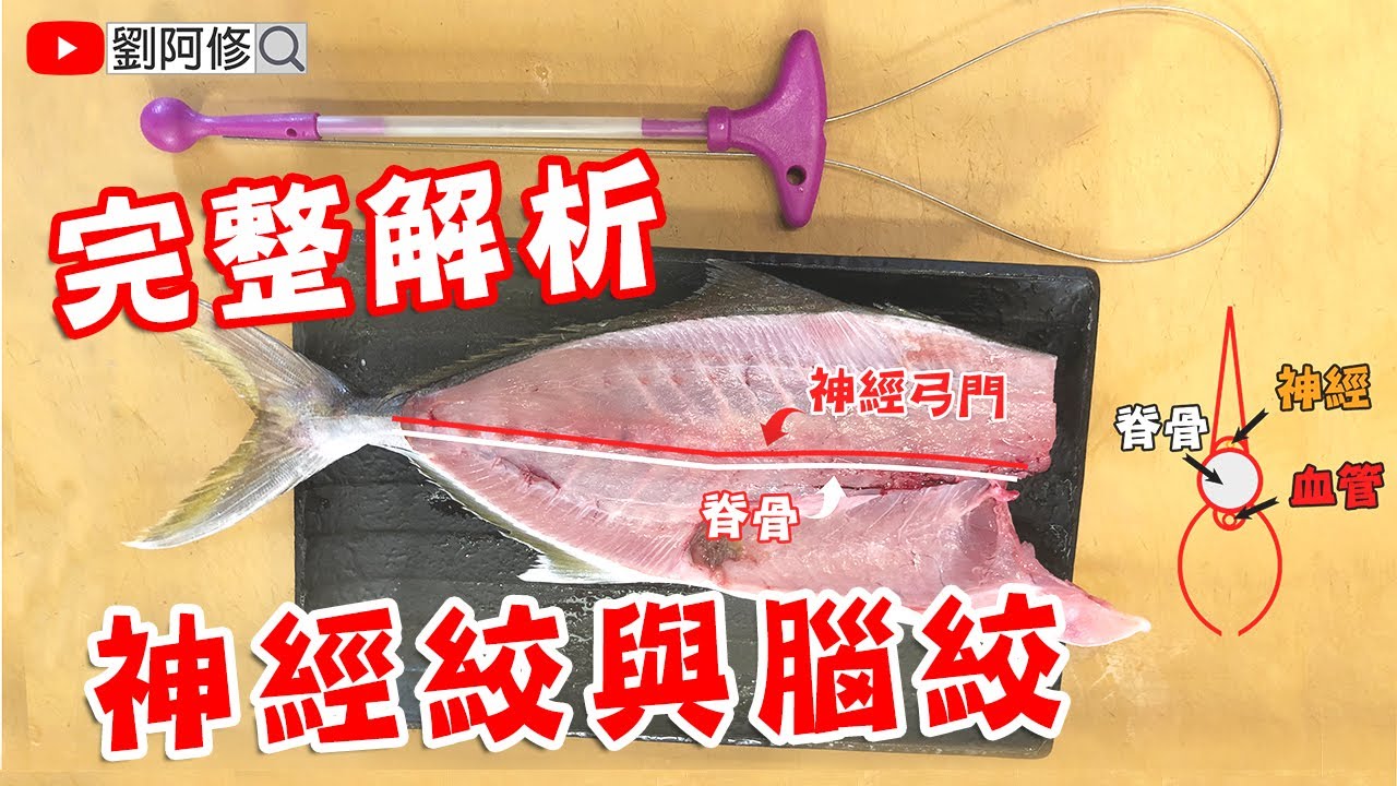 魚的處理｜神經絞與腦絞完整解析～如何使用神經絞工具 Feat. LUMICA《味留一升庵》