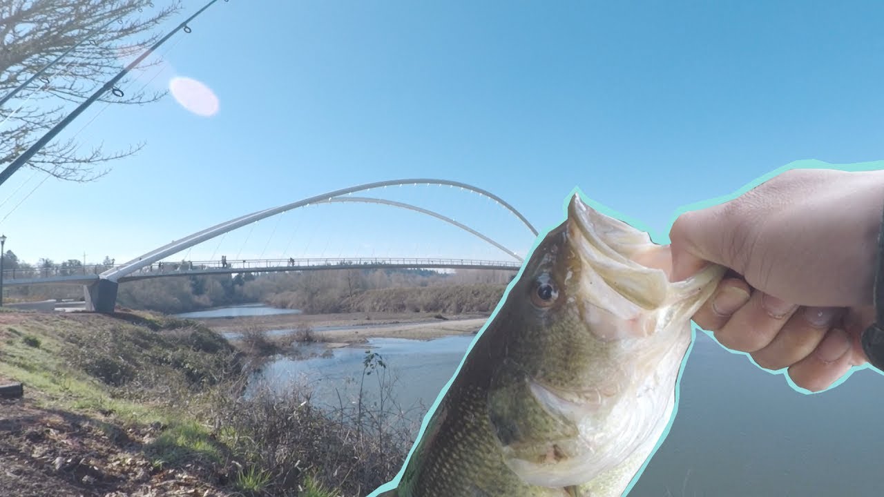 Down Town Salem Bass Fishing - Willamette River