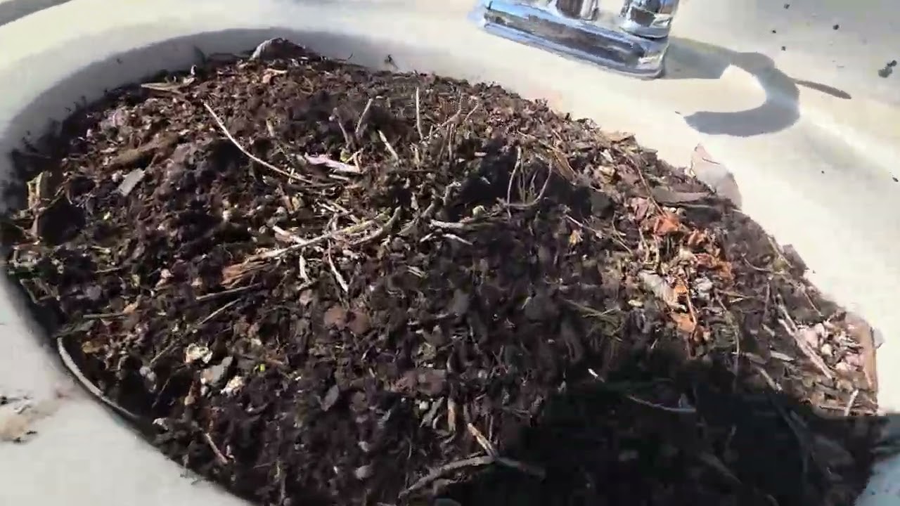 Just keep planting 