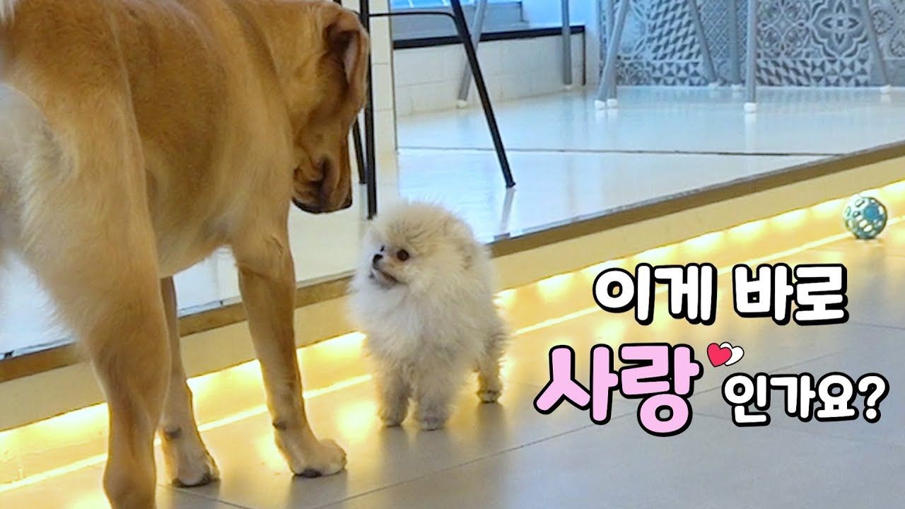밤톨이의 첫사랑(?) 얼레리꼴레리~