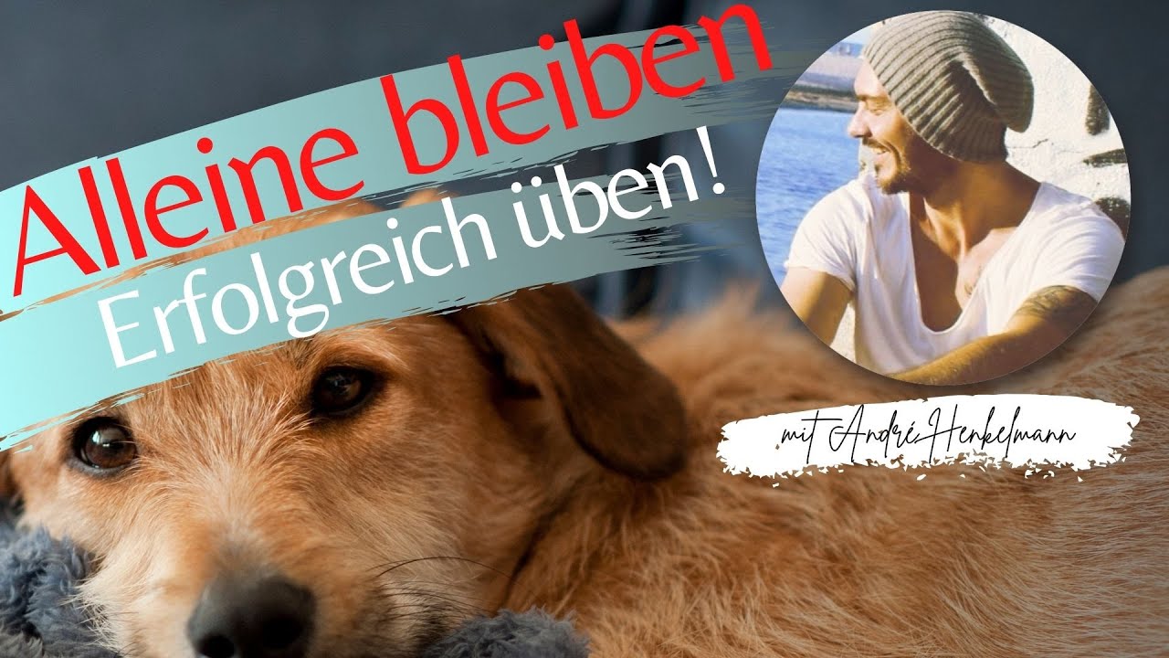 Alleine-Bleiben &uuml;ben und diesen Fehler unbedingt vermeiden! Profi-Tipps!