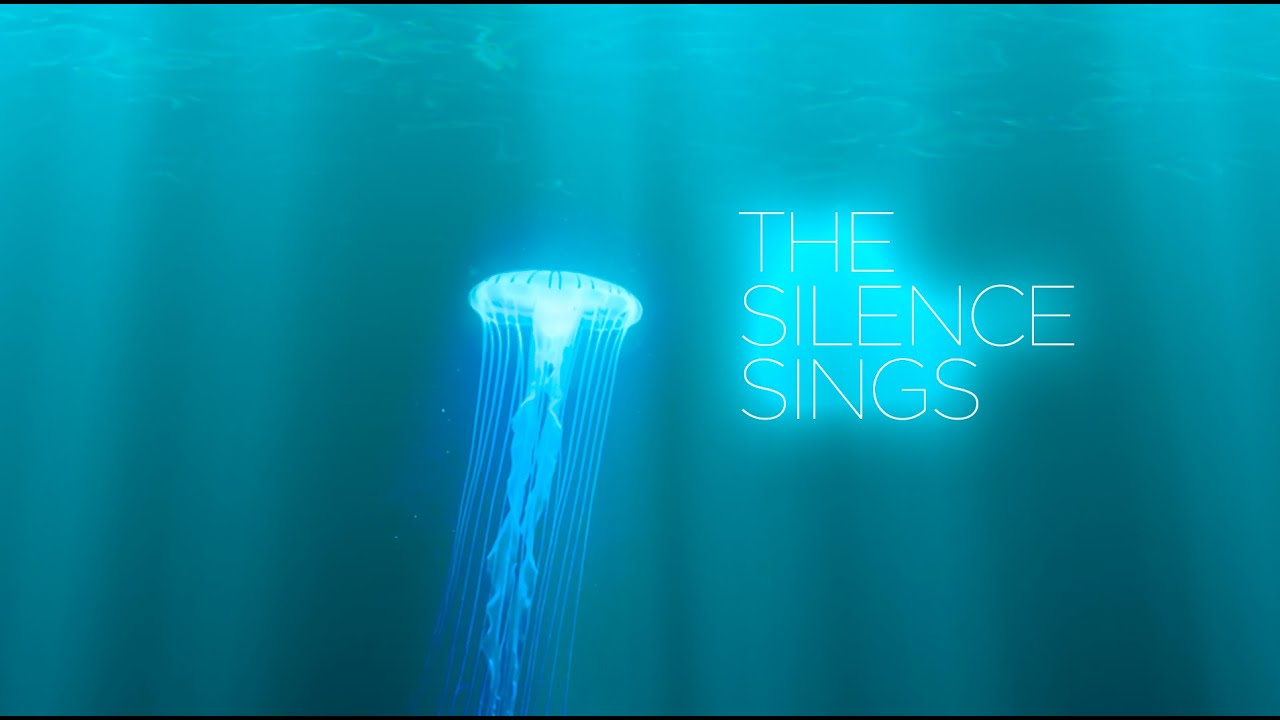 The Silence Sings