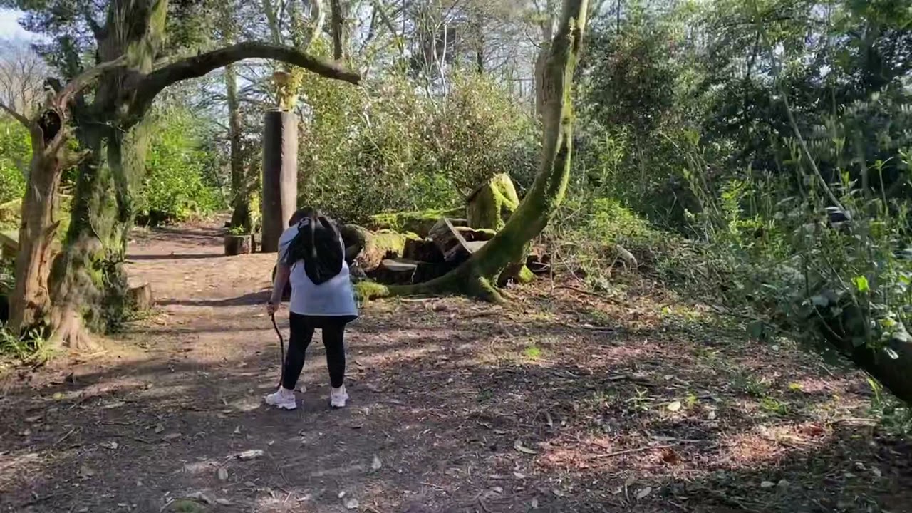 Scolton Manor Pembrokeshire