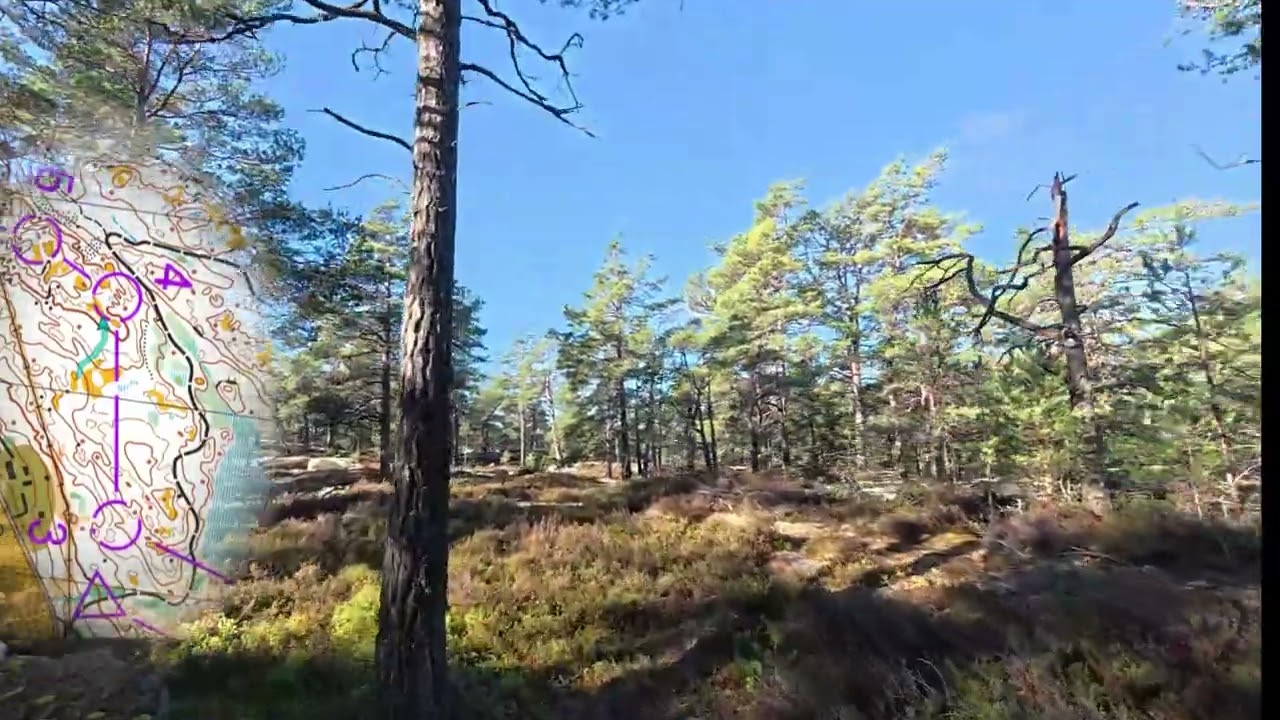 Headcam Orienteering || Gålömedeln H55