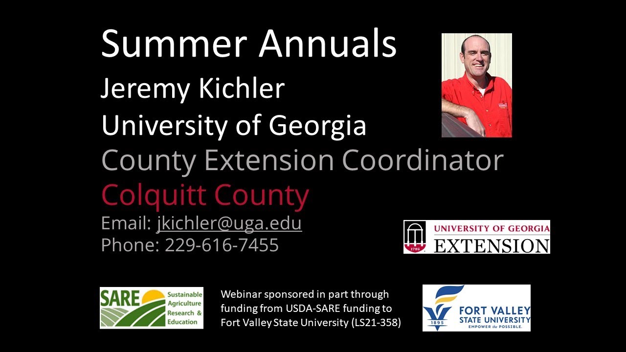 Summer Annual Forages