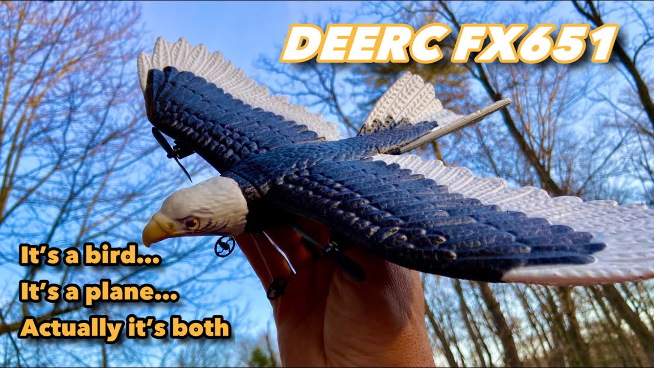 DEERC FX651 - 2 Channel Eagle - Unboxing & Review
