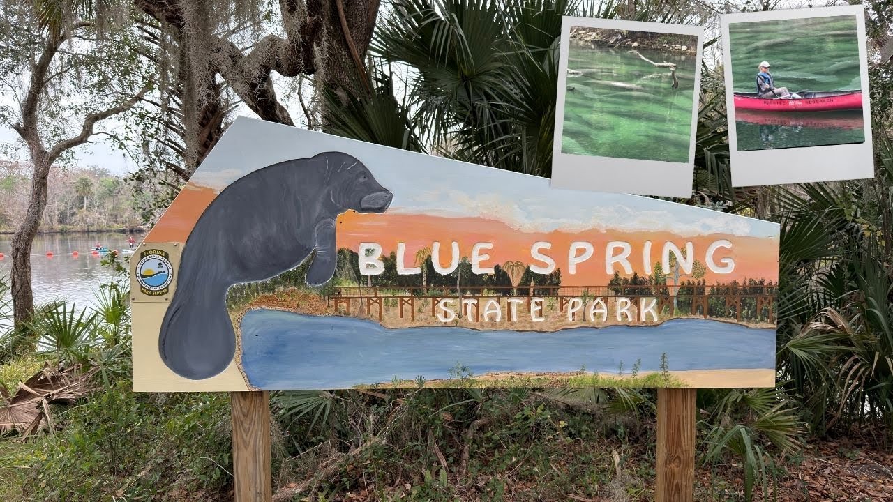 The Winter Home of Florida’s Manatees | Blue Spring State Park