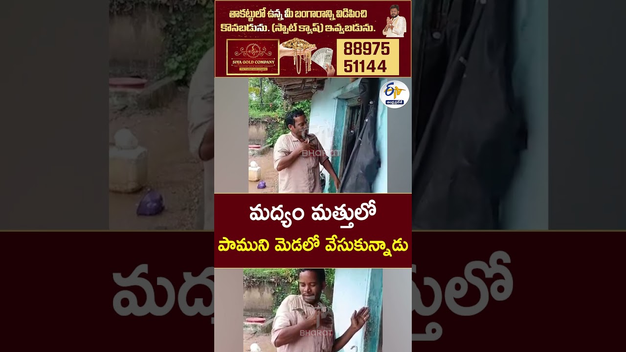 మద్యం మత్తులో పాముని మెడలో వేసుకున్నాడు