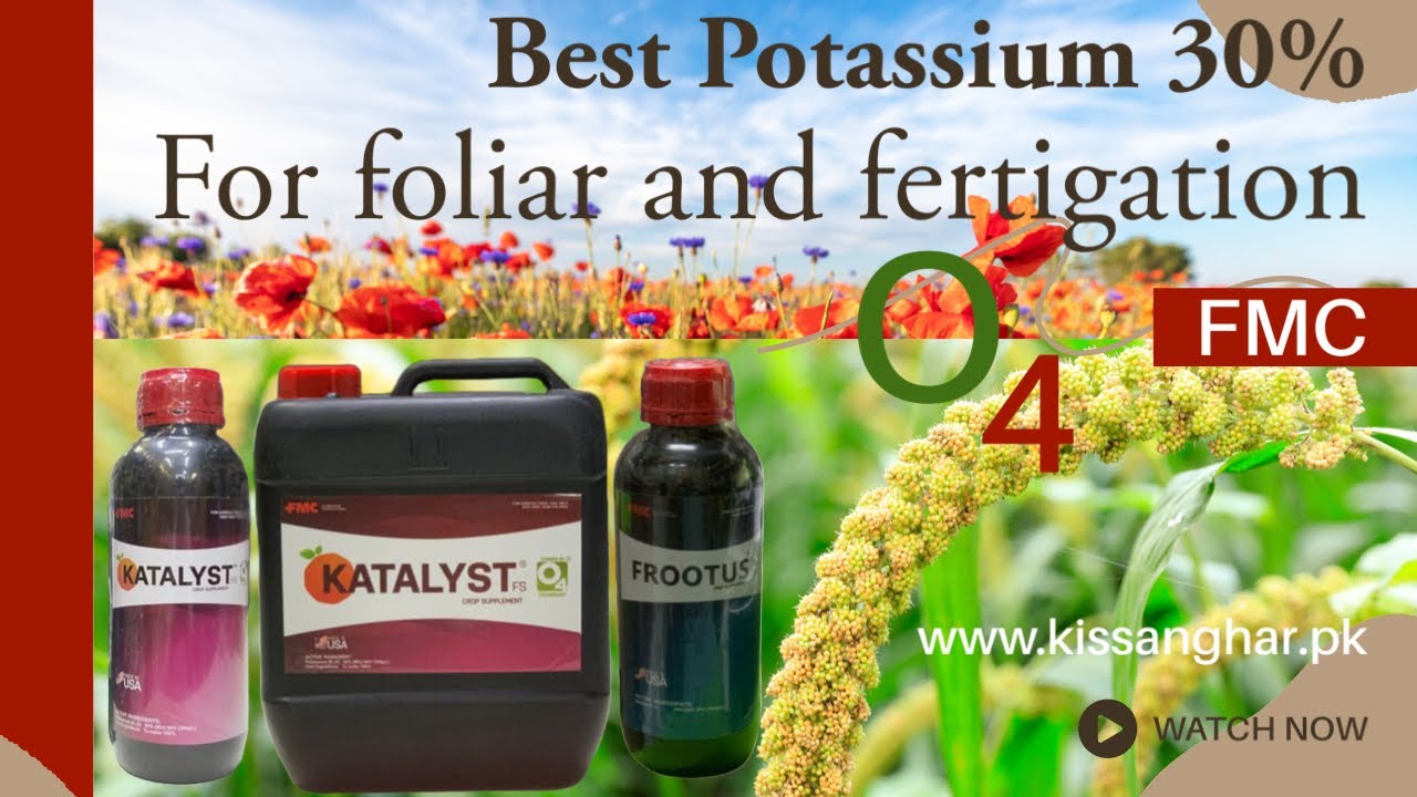 Katalyst fmc Frootus Fmc To increase crop yield and quality literally | Kissan Ghar O4 technology