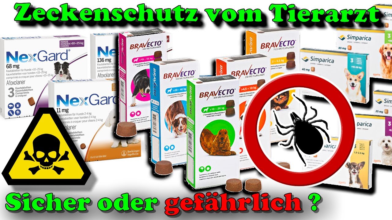 Bravecto, Simparica, Nexgard & Co. - sinnvoller & sicherer Zeckenschutz oder lieber Hände weg ?!? 🤔