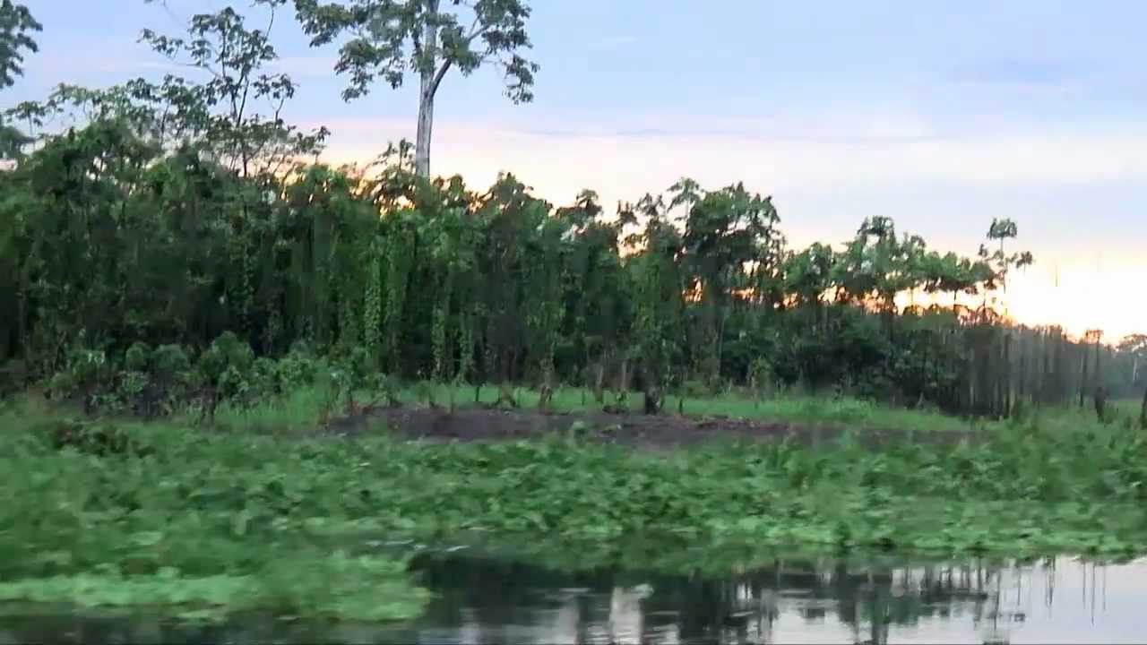 Rio Yanayacu