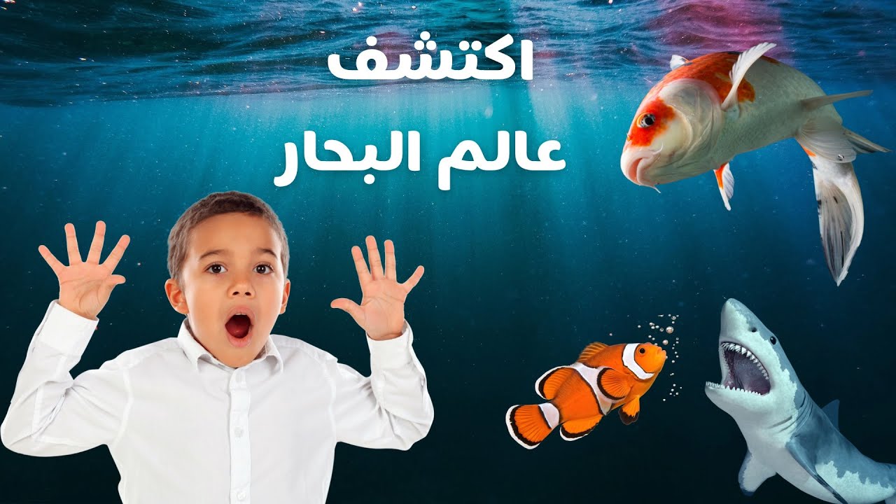 تعلم الكائنات البحرية للأطفال بالعربي | Learn About Sea Animals for Kids