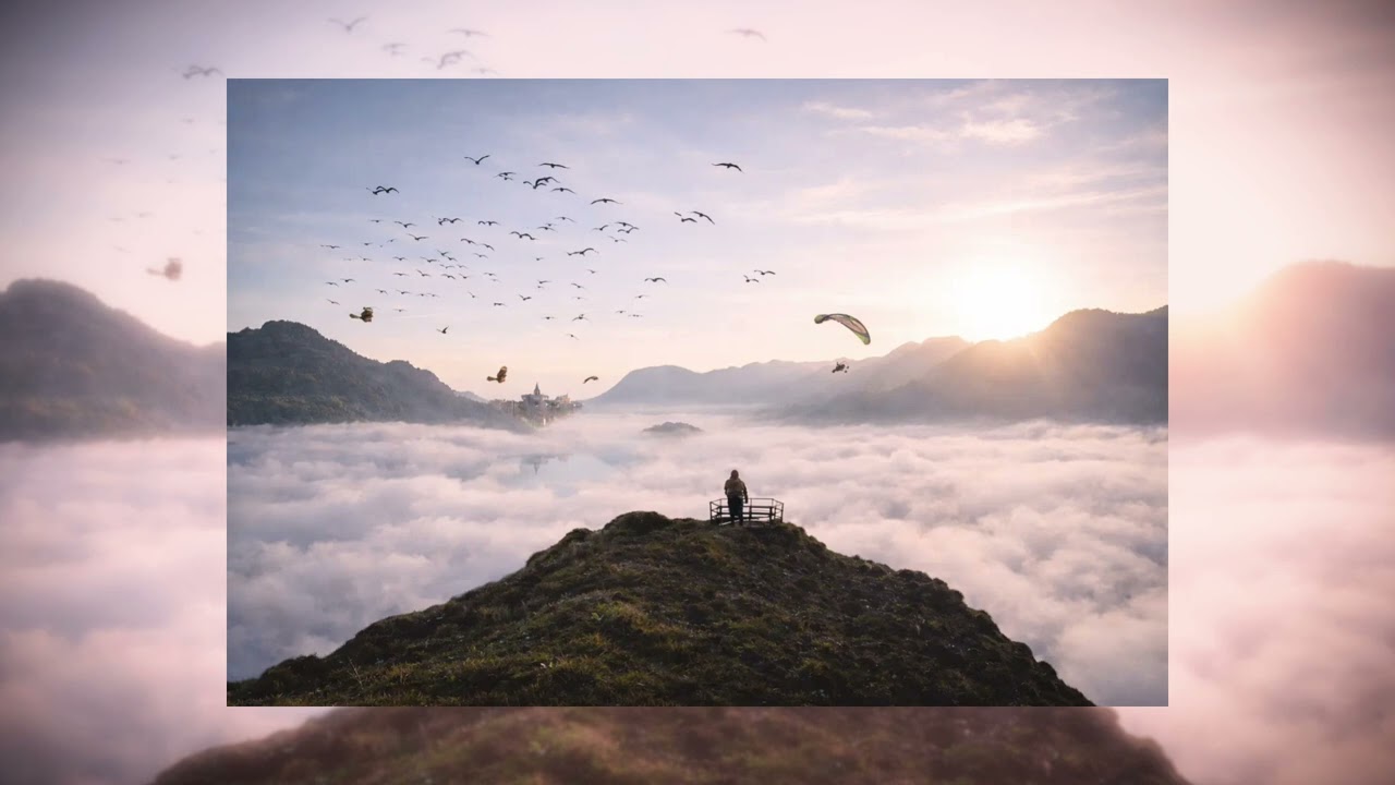 The Paradox of Flight - Lost in Silence