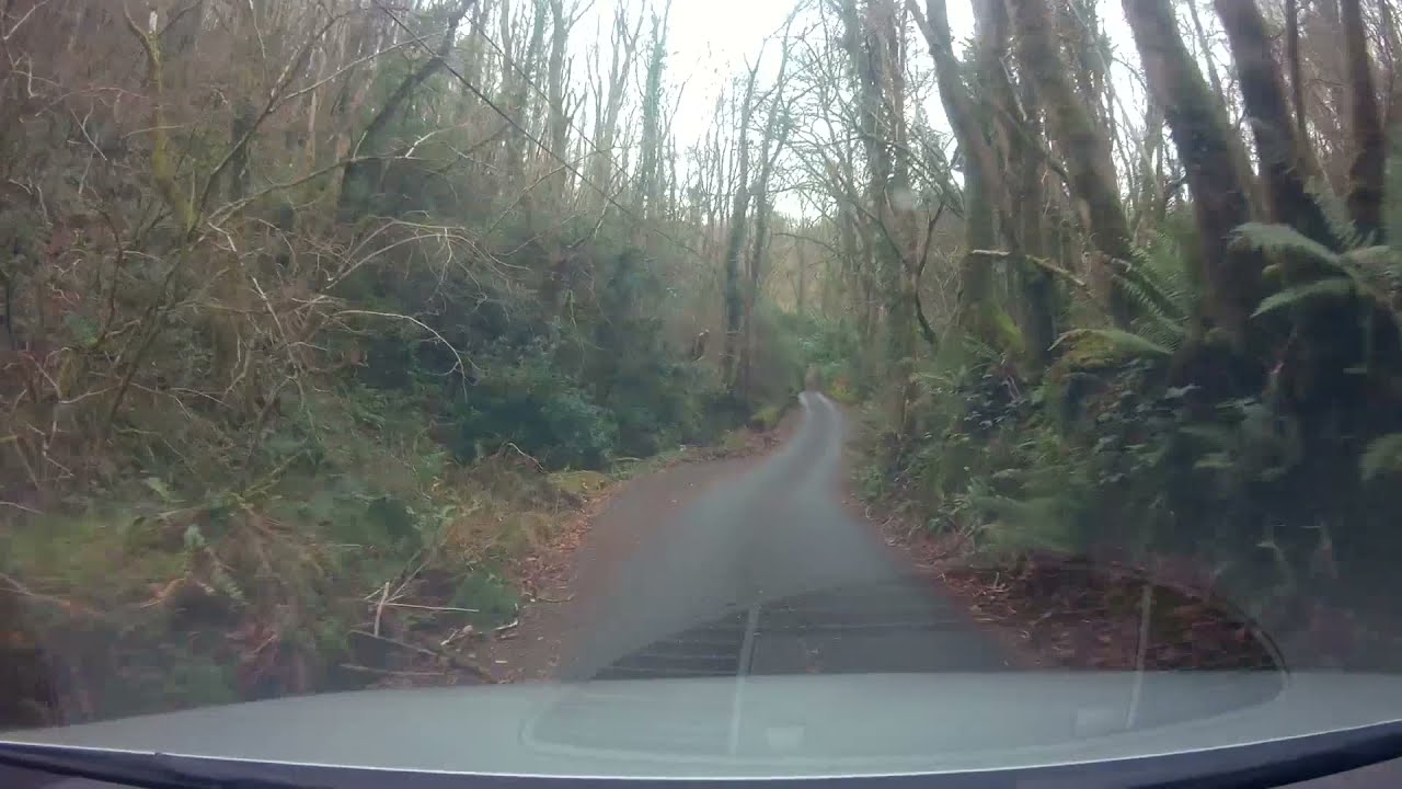 North Devon Forests - The Hunters Inn