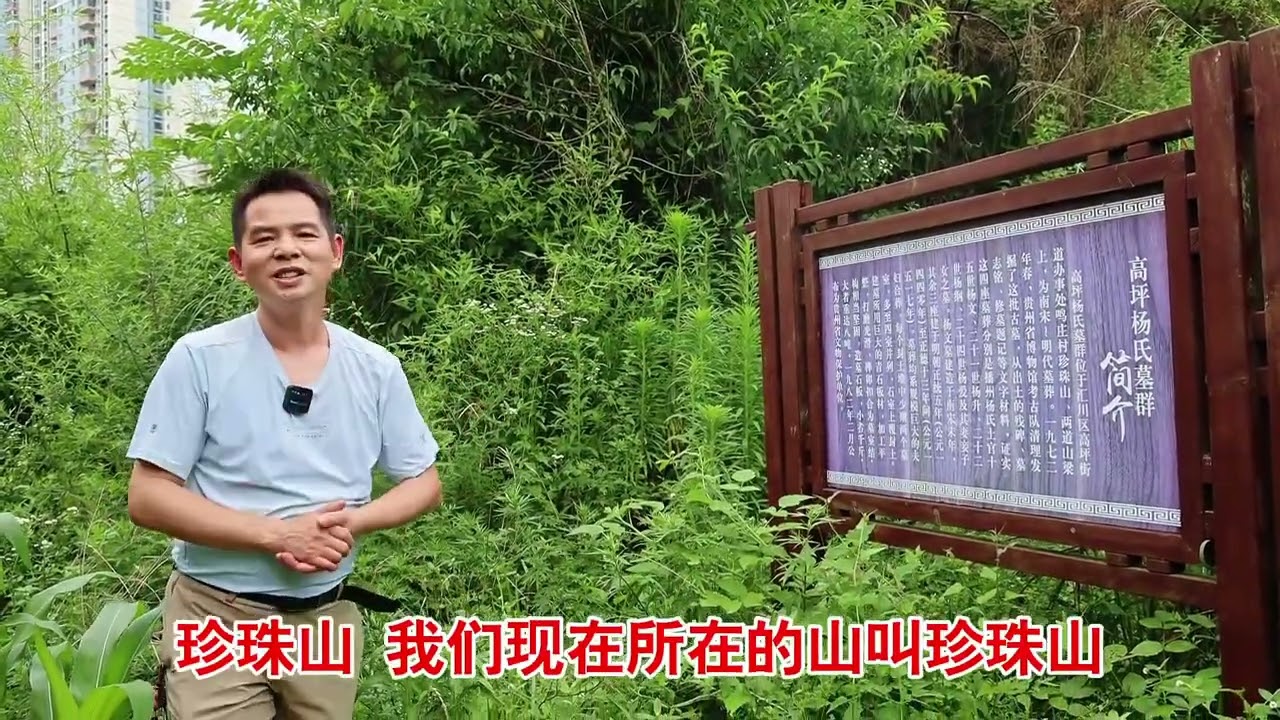 呼吁保护汇川区高坪“杨氏土司墓葬群” #文物保护 #历史古迹 #杨氏土司 #杨氏土司墓葬群 #汇川区高坪镇 #实地探寻 #墓地 #风水宝地