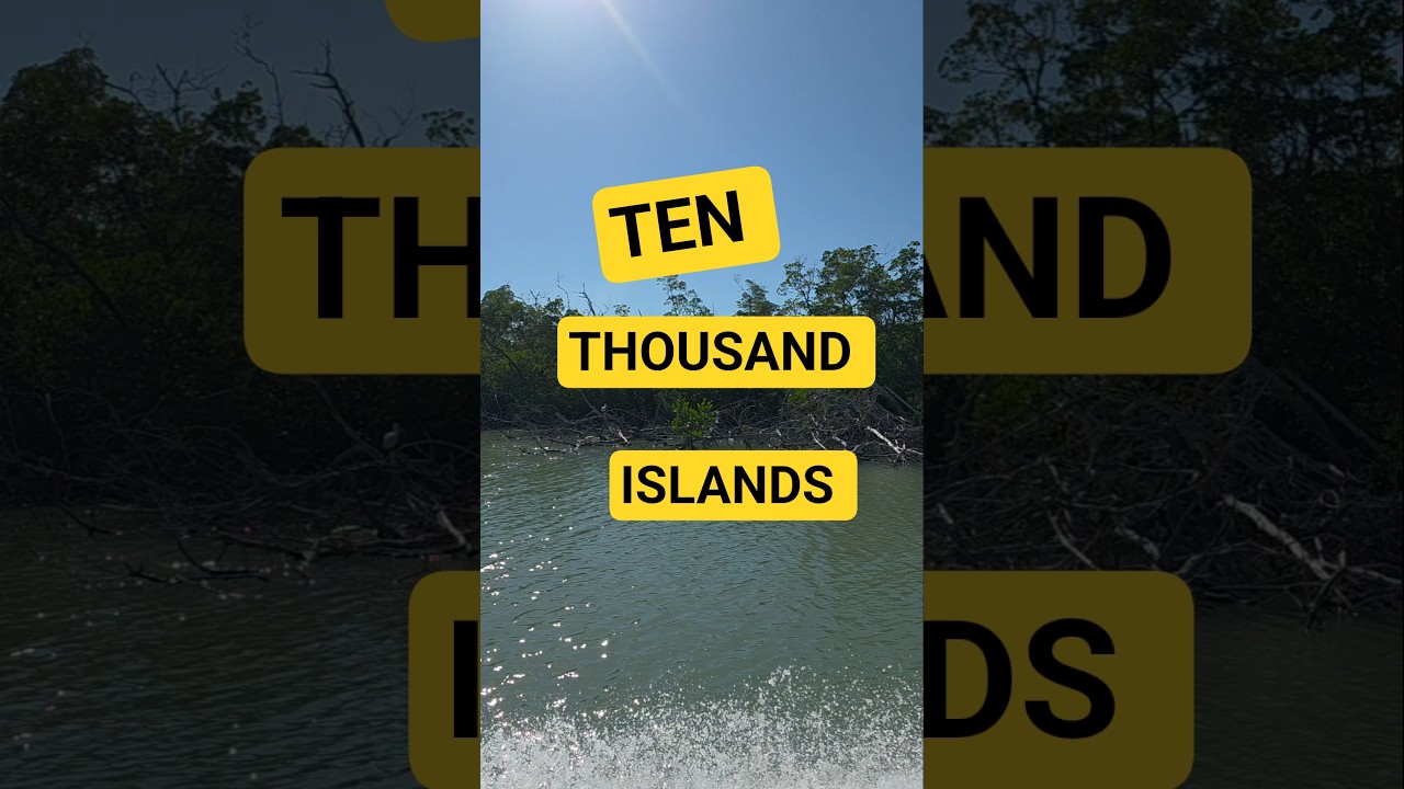 Shelling the Ten Thousand Islands 
