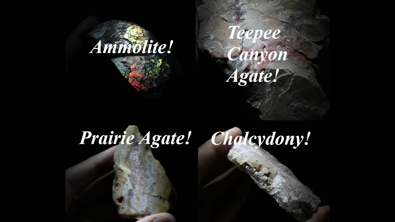 Black Hills, Day 4: Petrified Forest and Reviewing our Haul!